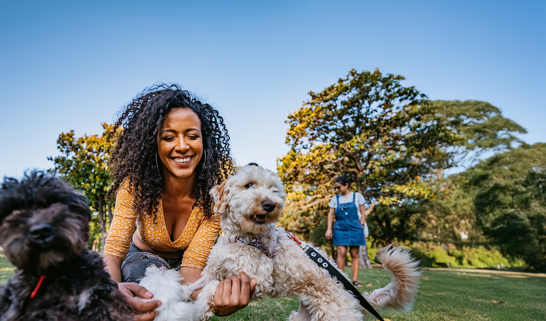 a woman and her dogs